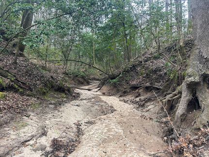 Property for sale in Adams County, Mississippi