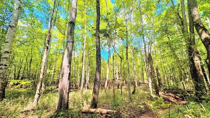 Property in Wilkinson County, Georgia