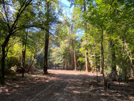 Recreational Property for sale in Baldwin County, Alabama