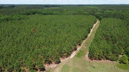 Property in Telfair County, Georgia