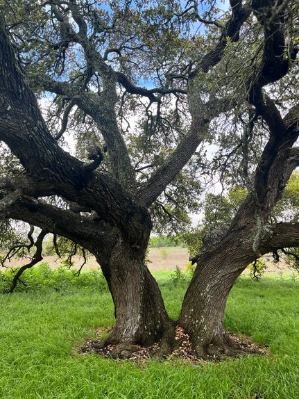 Property for sale in Coryell County, Texas