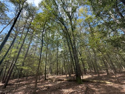 Property for sale in Jackson County, Georgia