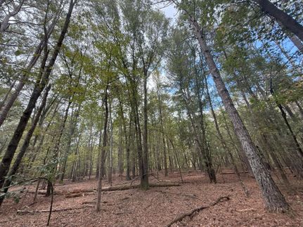 Recreational Property for sale in Jackson County, Georgia