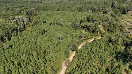 Property for sale in Union Parish, Louisiana