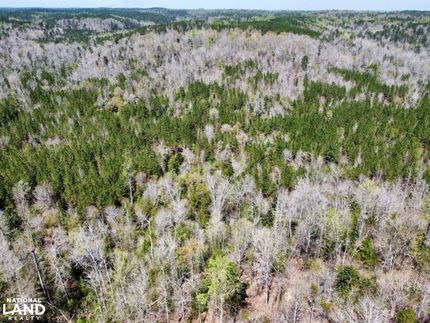 Property for sale in Choctaw County, Alabama