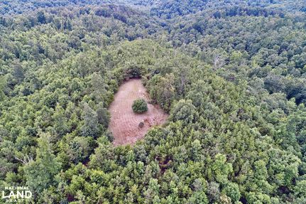 Hunting Land for sale in Lawrence County, Alabama