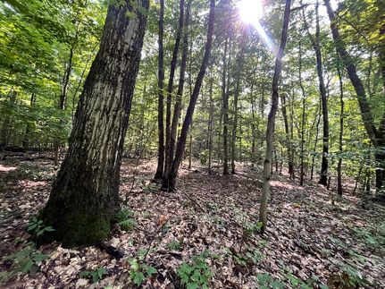 Residential Property for sale in Oswego County, New York