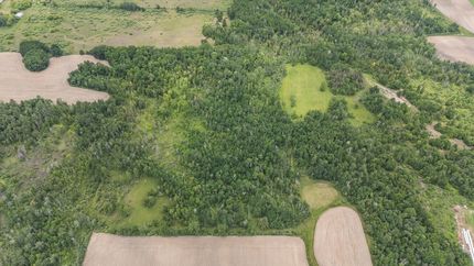 Hunting Land for sale in Arenac County, Michigan