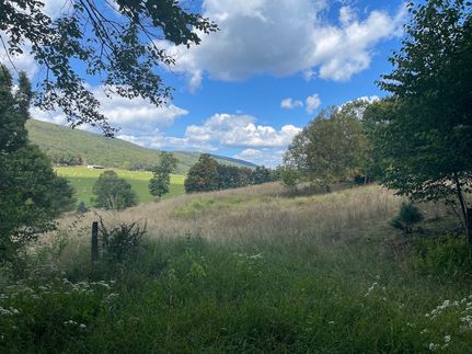 Property for sale in Pendleton County, West Virginia