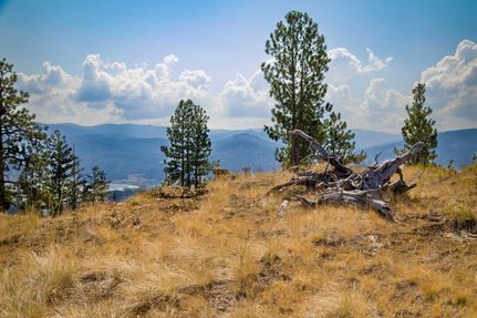 Undeveloped Land for sale in Flathead County, Montana