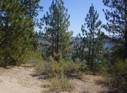 Property for sale in Lincoln County, Washington