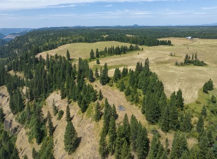 Ranch Property for sale in Idaho County, Idaho