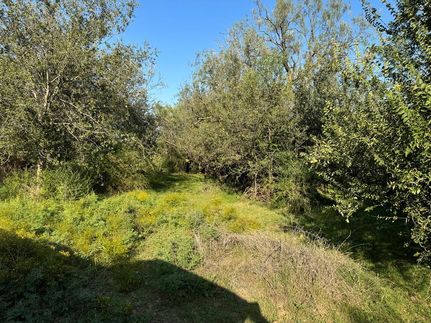 Property for sale in Coke County, Texas