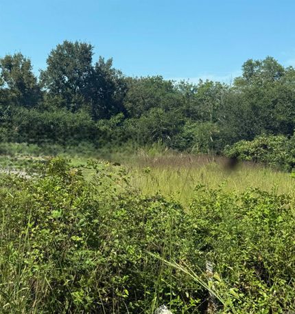 Property for sale in Montgomery County, Arkansas