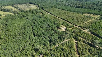 Undeveloped Land for sale in Union Parish, Louisiana