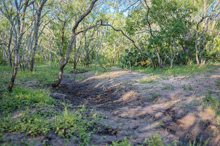 Property for sale in Bee County, Texas