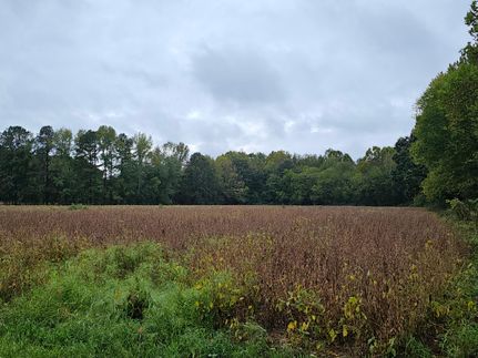 Property for sale in Sussex County, Virginia