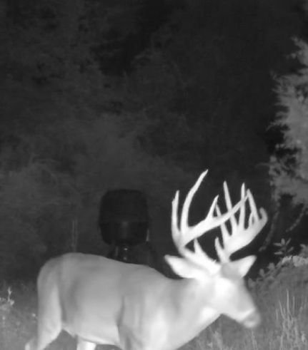 Property for sale in Mitchell County, Georgia