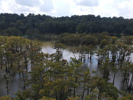 Lakefront Property for sale in Wilkinson County, Mississippi