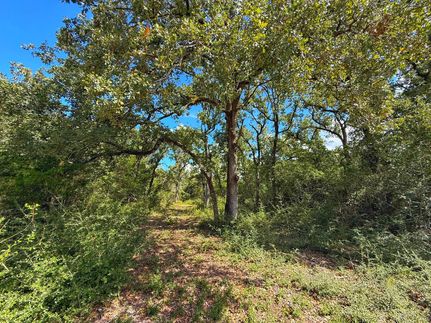 Residential Property for sale in Leon County, Texas