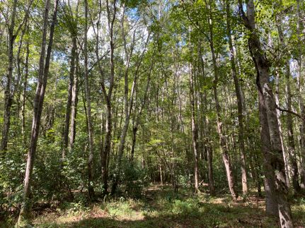 Timberland Property for sale in Bibb County, Alabama