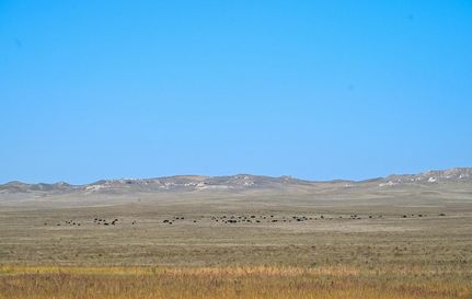 Property for sale in Goshen County, Wyoming