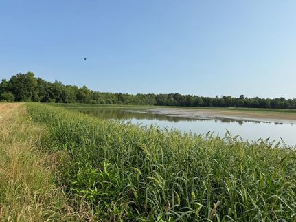 Property in Monroe County, Arkansas