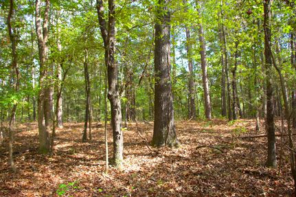 Property for sale in Hardeman County, Tennessee