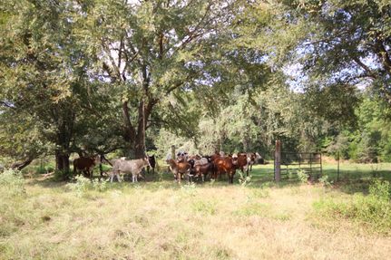 Property for sale in Anderson County, Texas