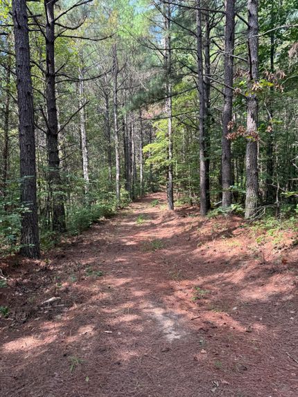 Property for sale in Morgan County, Tennessee