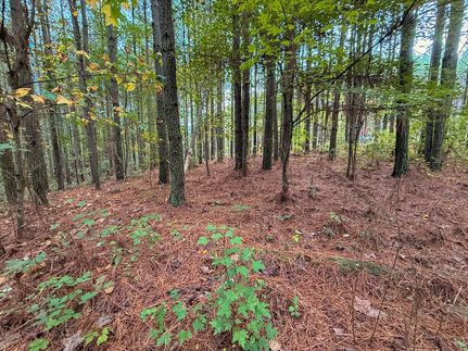 Property for sale in Cumberland County, Tennessee