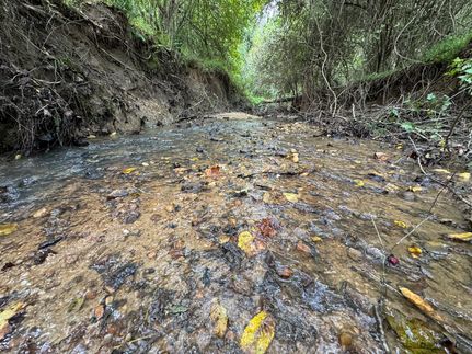 Residential Property for sale in Tallapoosa County, Alabama