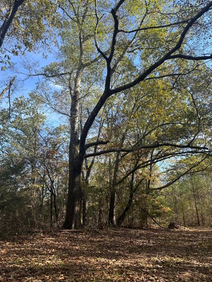 Property for sale in Pickens County, Alabama