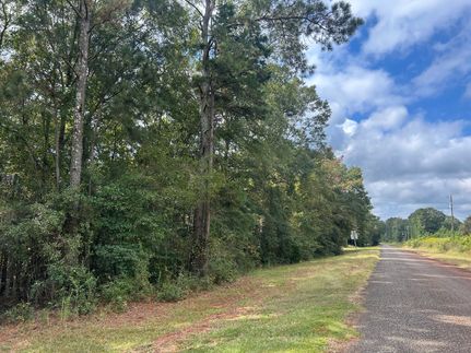 Undeveloped Land for sale in Henry County, Alabama