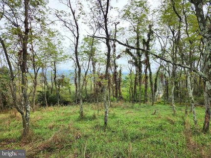 Undeveloped Land for sale in Hampshire County, West Virginia