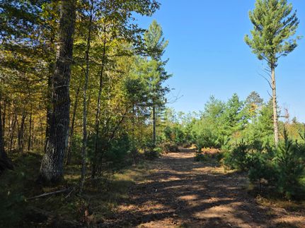 Property for sale in Bayfield County, Wisconsin