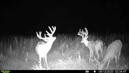 Property in Harper County, Kansas