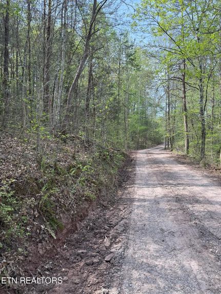 Undeveloped Land for sale in Monroe County, Tennessee
