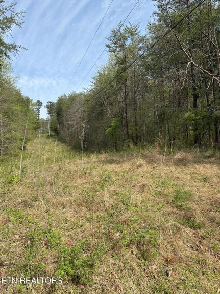 Property for sale in Monroe County, Tennessee