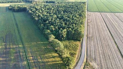 Property for sale in Beaufort County, North Carolina