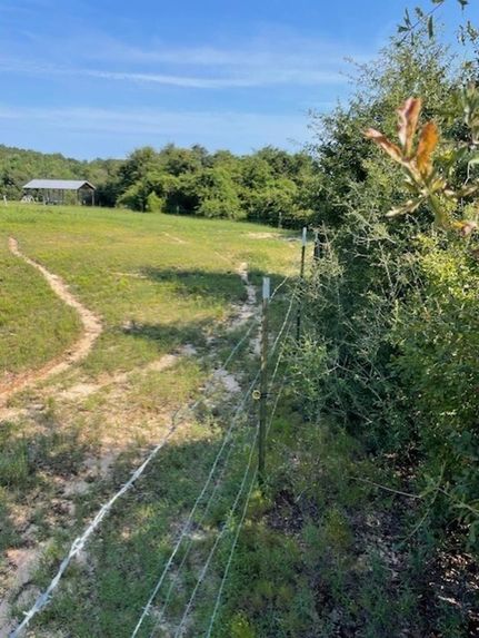 Recreational Property for sale in Crenshaw County, Alabama