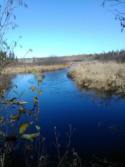 Lakefront Property for sale in Aroostook County, Maine