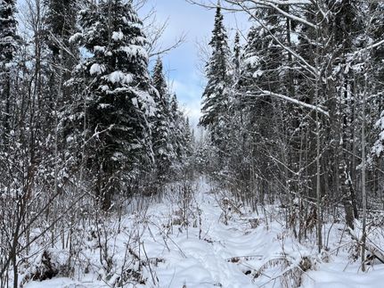 Waterfront Property for sale in Aroostook County, Maine