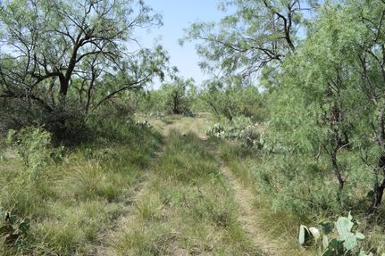 Undeveloped Land for sale in Tom Green County, Texas