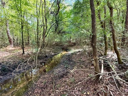 Property in Pike County, Mississippi