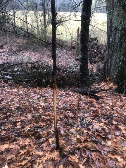 Property for sale in Prentiss County, Mississippi