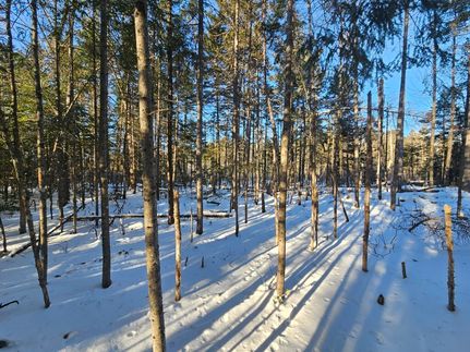 Property in Piscataquis County, Maine