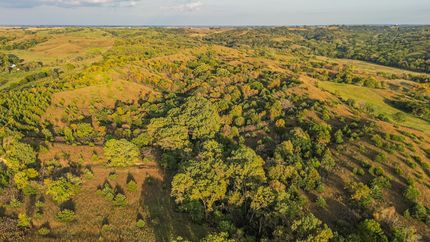 Property in Plymouth County, Iowa