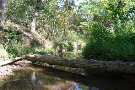 Undeveloped Land for sale in Berkeley County, West Virginia