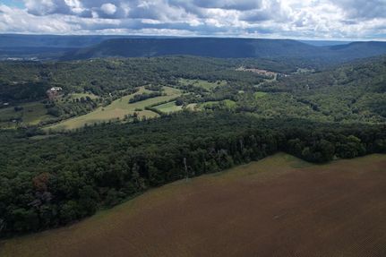 Undeveloped Land for sale in DeKalb County, Alabama